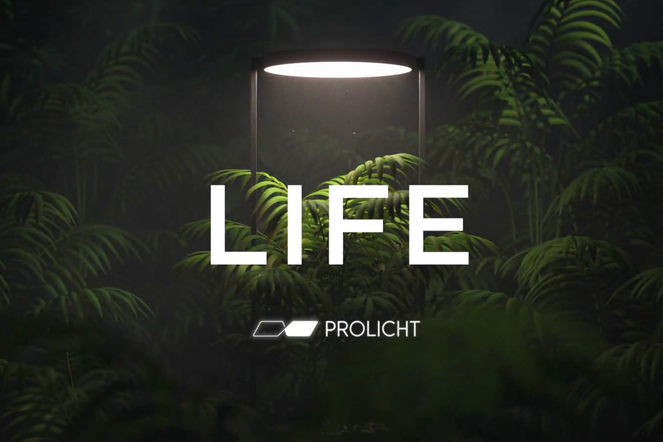 life-video-product